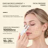 Masseur facial Gua Sha à micro-courant ABS portable avec vibration galvanique, rechargeable par USB, soulage la fatigue oculaire et lift le visage