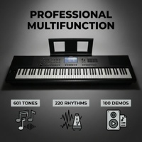 Beisite S-265 ODM/OEM Portable Piano Synthesizer Personal Music Workstation Accompaniment Arranger Keyboard Instrument