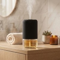 Diffuseur d'huiles essentielles à diffusion froide, lumière d'ambiance LED rechargeable avec minuterie, pour voiture et maison, nouveau parfum d'ambiance