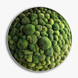 En gros artificielle <span class=keywords><strong>tourbe</strong></span> tapis <span class=keywords><strong>de</strong></span> <span class=keywords><strong>mousse</strong></span> panneau <span class=keywords><strong>de</strong></span> mur d'art, <span class=keywords><strong>mousse</strong></span> artificielle colorée pour la décoration - Product Image 6