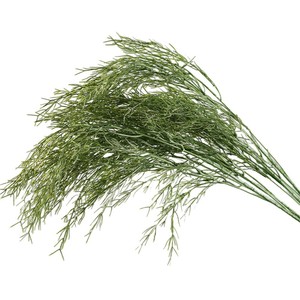 Follaje Artificial de Espárragos Verdes Greenway, Arreglos Florales Decorativos para Bodas y Festivales - Product Image 5