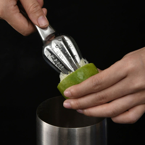 Presse-agrumes manuel en acier inoxydable DF409 8.07, presse-fruits manuelle - Product Image 4