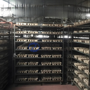 Khay trứng giấy máy sấy máy hạt <span class=keywords><strong>areca</strong></span> Máy sấy hạt trầu hạt sấy lò trứng máy sấy thùng carton - Product Image 4