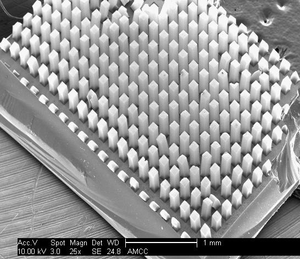 Hình vuông màu đen ống Nano Carbon 100um va-swcnts liên kết theo chiều dọc đơn tường Ống Nano Carbon cho xúc tác - Product Image 2