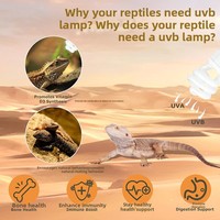 Lampe spirale UVB pour tortue, lézard, reptile, supplément de calcium, plante succulente, lumière ultraviolette, lampe à économie d'énergie UVB, 110V 220V