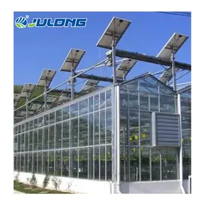 Painéis solares de policarbonato venlo de baixo custo, preços da greenhouse fotovoltaica