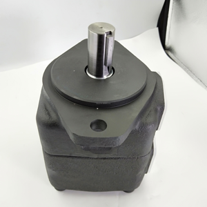 Pompe hydraulique à palettes série PVR PVR50FF-36-RAR/RAL-31 PVR50-F-39-R PVR50-F-20-R PVR50-FF-20-RAA - Product Image 6