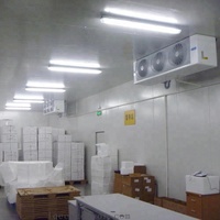 Chambres réfrigérées de plain-pied dans la chambre froide du congélateur pour légumes fruits viande