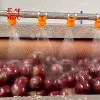 MBC CE-gecertificeerde grote capaciteit wortelschiller, cassave-, aardappel-, bieten- en groenteschiller en -wasser