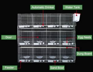 BAIYI <strong>cages</strong> for sale steel superior <strong>fancy</strong> <strong>cages</strong> racing <strong>pigeon</strong> breeding the new type  4 <strong>layer</strong> <strong>pigeon</strong> cage nipple for - Product Image 3