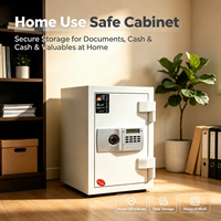 Caja Fuerte Ignífuga para el Hogar, con Cierres de Alta Seguridad, Diseño Anti-Robo, para Documentos Personales y Joyas