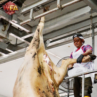 Équipement d'abattage de bovins halal, machinerie complète de transformation de la viande, système d'aménagement d'abattoir, installation d'usine