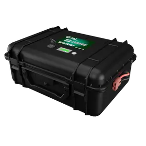 Batterie lithium-fer-phosphate 12V 40Ah Batterie de stockage d'énergie portable Batterie de stockage d'énergie pour l'extérieur
