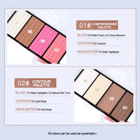 Palette de fard à joues de marque privée, fini mat naturel, poudre de contour pour tous types de peau, utilisation en salon