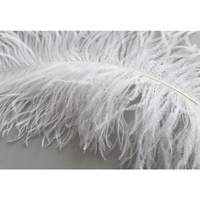 Grandes plumes d'autruche en vrac motif floral panache blanc naturel teint pour fête carnaval mariage vacances Vase décor pièce maîtresse