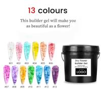KNC Gel d'extension de fleurs sèches nouveauté 13 couleurs UV/LED 1Kg emballage gel pour ongles longue durée