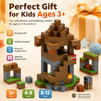 Ensemble de blocs de construction magnétiques, jouet éducatif STEM, puzzle de construction DIY, modèle 3D en plastique, jouet de décompression, >14 ans, certifié ASTM