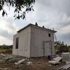 Xây Dựng Bức Tường Vật Liệu Xây Dựng Tự Động Khuôn Làm EPS Xi Măng Bánh Sandwich Tường Bảng Điều Khiển - Product Image 4