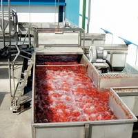 Automatische tomatenketchup productielijn complete sausverwerkingsinstallatie concentratie menging sterilisatie vulapparatuur
