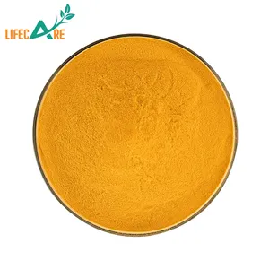 Top Grade Powder Organic Turmeric Root Extract Powder Curcumin Extract