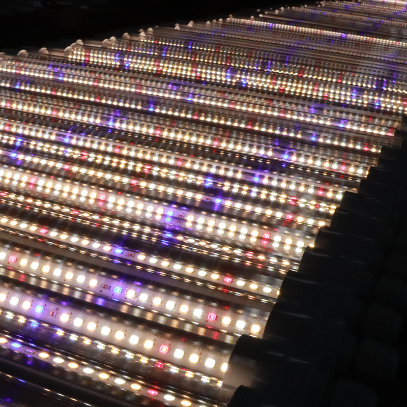 Customized 18W 30W T8 LED Grow