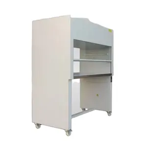 CE Standard Horizontal Vertical Laminar Flow Cabinet For Lab Clean Bench