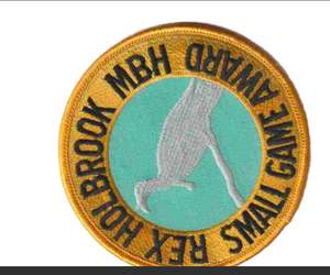 แผ่นป้ายปักลายแบบรีดติดเสื้อสไตล์ผ้าทอลายทแยง - Product Image 3