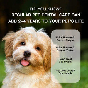 Masticables Dentales para Mascotas <span class=keywords><strong>de</strong></span> Grano Suave, Refuerzo Inmunológico, Limpieza Dental Segura y Saludable, Elimina el <span class=keywords><strong>Mal</strong></span> <span class=keywords><strong>Aliento</strong></span> para <span class=keywords><strong>Perros</strong></span> y Gatos - Product Image 4