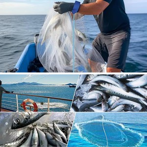 <span class=keywords><strong>Filet</strong></span> <span class=keywords><strong>de</strong></span> pêche en eau salée <span class=keywords><strong>pour</strong></span> appât, piège à poissons, filets <span class=keywords><strong>de</strong></span> lancer <span class=keywords><strong>de</strong></span> 3/4/5/6/7/8/9/10 pieds <span class=keywords><strong>de</strong></span> rayon avec poids <span class=keywords><strong>de</strong></span> plomb en zinc robuste - Product Image 6