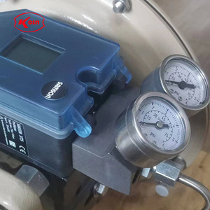 3271 Globe Control en acier inoxydable pour WIth 3725 - Product Image 3
