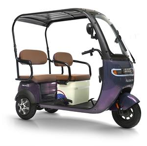 Precio de Mayorista <span class=keywords><strong>Triciclo</strong></span> Eléctrico de Plomo-Ácido de 800 W, Vehículo Eléctrico de 3 Ruedas para Adultos - Product Image 4