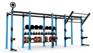 Fábrica comercial gimnasio fuerza entrenamiento culturismo brazo pierna ejercicio equipo multifuncional CF Rack para <span class=keywords><strong>CrossFit</strong></span> inoxidable - Product Image 4