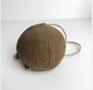 Maceta Colgante Redonda de Cáscara de Coco, Ecológica, Hecha a Mano, con Capacidad de 700 ml, para Jardín y Hogar - Product Image 1