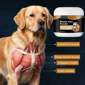 Suplemento de Marca Privada <span class=keywords><strong>para</strong></span> el Apoyo Inmunológico, Masticables Blandos Multivitamínicos y Proteicos <span class=keywords><strong>para</strong></span> <span class=keywords><strong>Perros</strong></span>, Aumentan el Peso Natural Saludable - Product Image 5