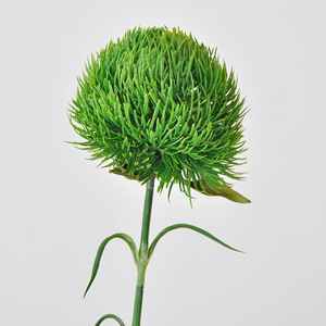 Composition florale artificielle en forme de boule de poils verts, avec feuilles et boule de épines, en PVC souple, pour la décoration paysagère - Product Image 1