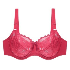 <span class=keywords><strong>Reggiseno</strong></span> Push-Up con Ferretto Trasparente Ricamato Floreale Personalizzato all'Ingrosso, Senza Fodera, Coppa 3/4 Sexy per Donne Taglie Forti - Product Image 6