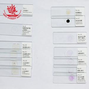 Diapositivas de laboratorio Flagellum Smear Gram Dyeing 50 Kinds Kit Hongos y células microbianas Diapositivas de biología Película Vidrio Bacterias Diapositivas preparadas - Product Image 4
