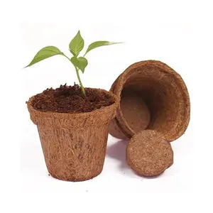 Biodegradable Indoor Outdoor Coco Coir Seed Starter Pots Eco Natural Seed Germination Pot