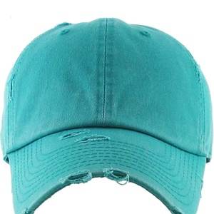 Gorra de Béisbol Personalizada Unisex de 6 Paneles, Formal, con Estampado de Frutas y Letras, de Secado Rápido, Transpirable, Impermeable, de Tela Twill, Deportiva - Product Image 5