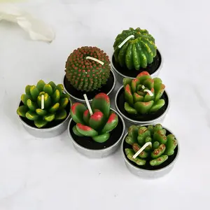 Handmade Succulent Plants Shaped Customized Soy Wax Scented Green Mini Cactus Succulent Plants Scented Candle