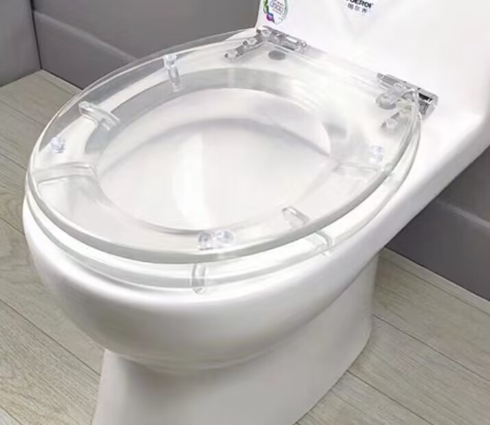 Прозрачный унитаз