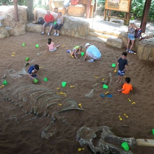 Decoración de Fósil de Dinosaurio Realista de Tamaño Natural para Uso en Interiores, Exhibición Educativa para Niños - Product Image 6