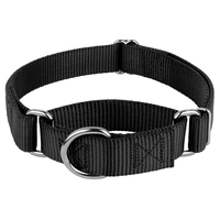 Kingtale Basic Martingale Collier pour chien pour grands, moyens et petits chiens et chiots Deluxe Heavy Duty Nylon dans des couleurs éblouissantes