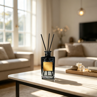 Diffuseur de parfum d'ambiance WELLNESS pour la maison, personnalisable avec logo, nouveau design, bouteille en verre, bâtonnets diffuseurs d'arômes pour la pièce, cadeau