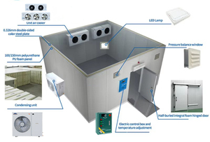 Sala de almacenamiento en frío prefabricada de fácil instalación para conservación de frutas y verduras a largo plazo - Product Image 3
