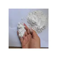 كربونات الكالسيوم الصناعية مسحوق أبيض فائق مسحوق الكالسيوم المترسب كبير