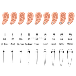 Alat pengukur telinga Punk 36 buah, anting-anting baja tahan karat lancip 316L, alat perenggang - Product Image 6