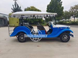 Buggy Antique Sightseeing Electric Vintage Classic Car para adultos Venta Street Legal Old Retro Golf Cart - Product Image 6