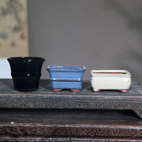 Mini pot de jardinage en céramique Yixing Zisha, poterie artisanale, petit pot à bonsaï et succulentes, finition émaillée, écologique, avec drainage