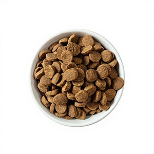 Sac en gros de 10 kg de croquettes pour chien, formule santé intestinale, avec mélange de probiotiques. Il aide à réduire les selles molles et soutient les intestins - Product Image 1